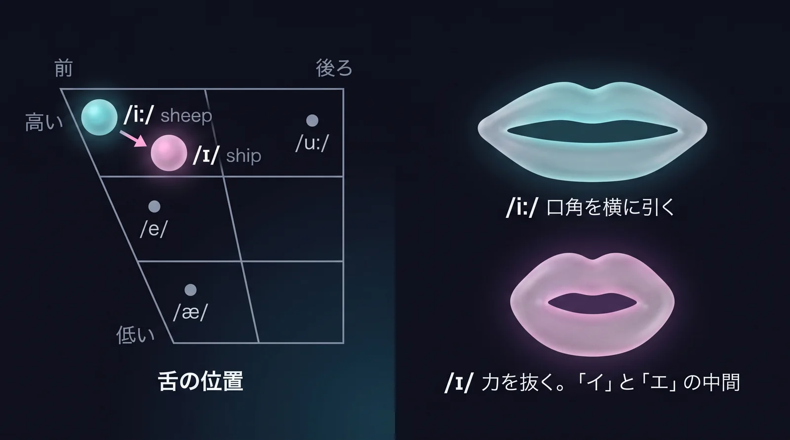 母音の位置の図と、口の形の違い
